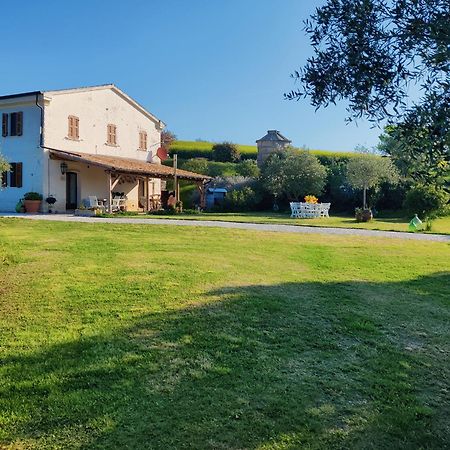 Rustico Del Bozzo Pensionat Castelleone di Suasa Exteriör bild
