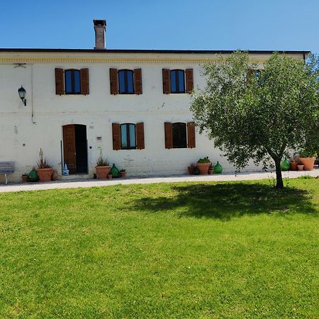 Rustico Del Bozzo Pensionat Castelleone di Suasa Exteriör bild