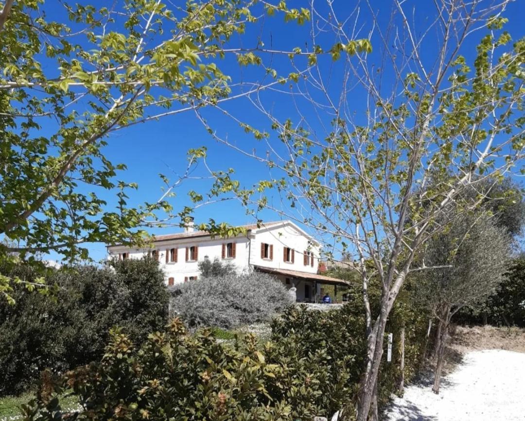 Rustico Del Bozzo Pensionat Castelleone di Suasa Exteriör bild