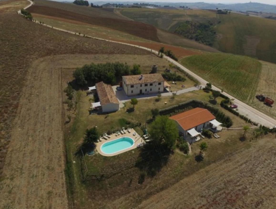 Rustico Del Bozzo Pensionat Castelleone di Suasa Exteriör bild