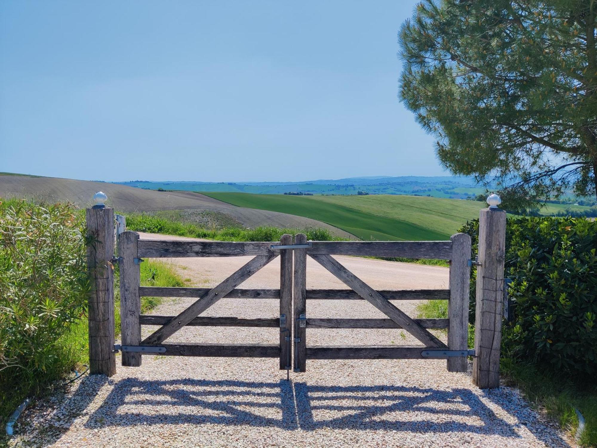 Rustico Del Bozzo Pensionat Castelleone di Suasa Exteriör bild