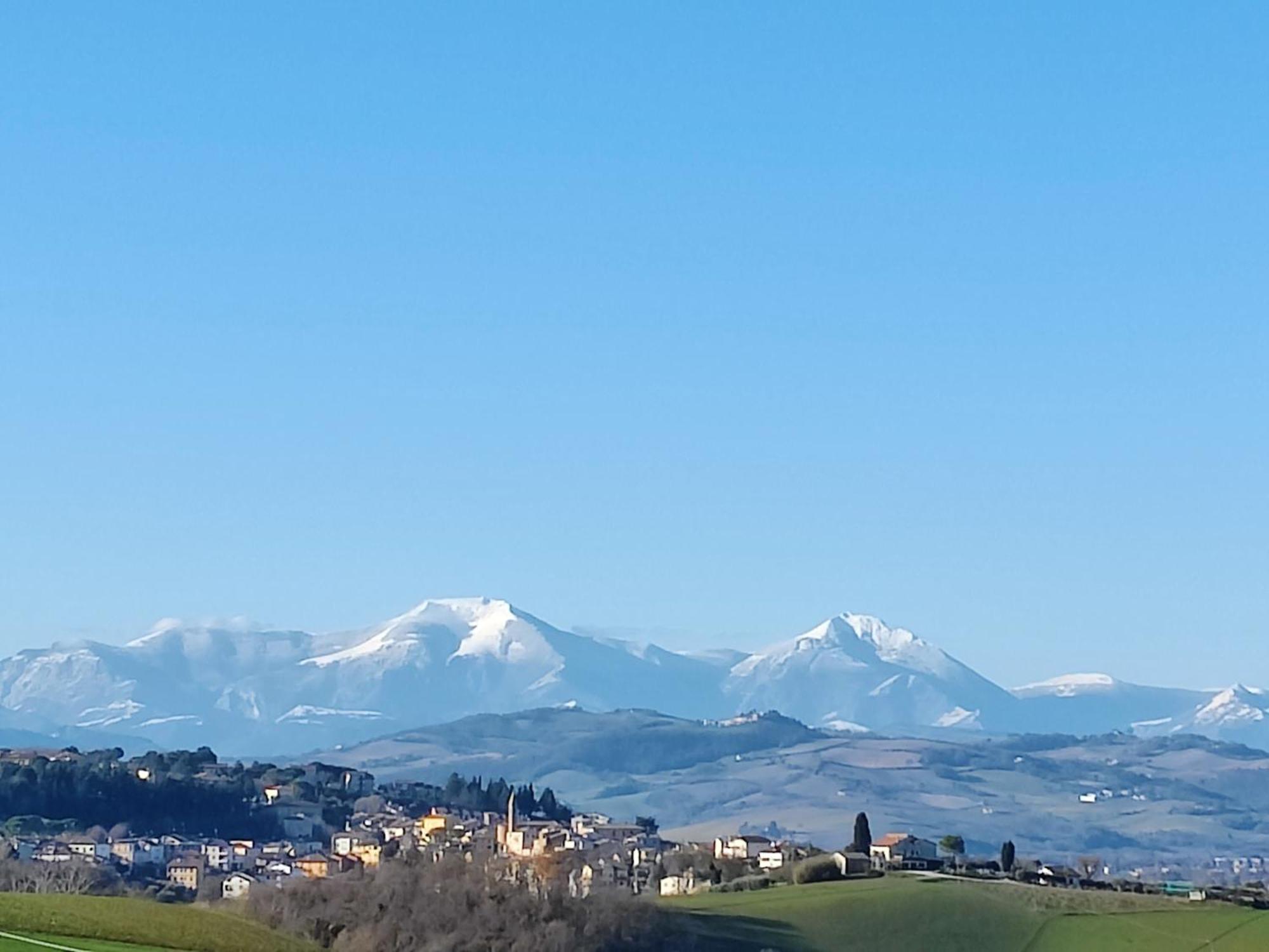 Rustico Del Bozzo Pensionat Castelleone di Suasa Exteriör bild