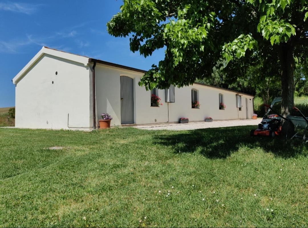 Rustico Del Bozzo Pensionat Castelleone di Suasa Exteriör bild